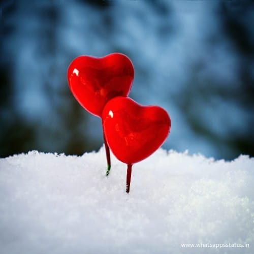 Love DPs for WhatsApp - Whatsappsstatus.in (15) Love DPs for WhatsApp - Whatsappsstatus.in (15)